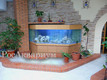 Интерьерный аквариум с колонной