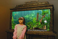 Фотография аквариума в сундуке, авторский аквариум с необычным внешним