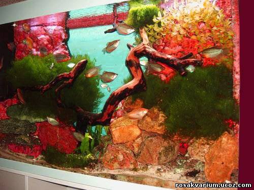 Объемный фон для аквариума своими руками – Аквамир , пользователь Елена С | My World Groups