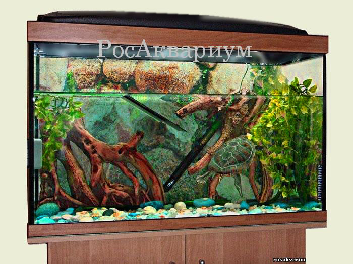 аквариумы российского производства