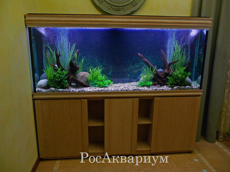 Изготовление аквариумов на заказ. Заказать аквариум AquaTech СПб.