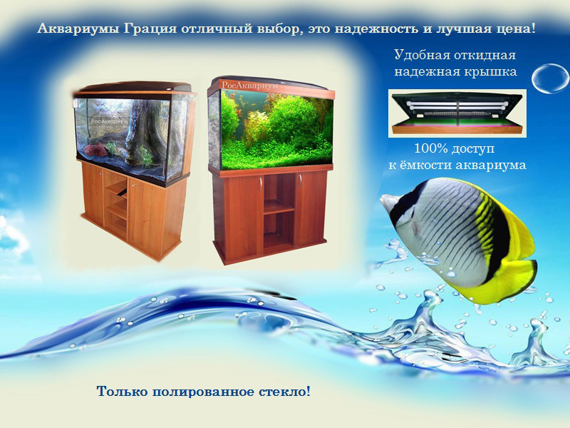 Производство и продажа аквариумов, террариумов в Москве