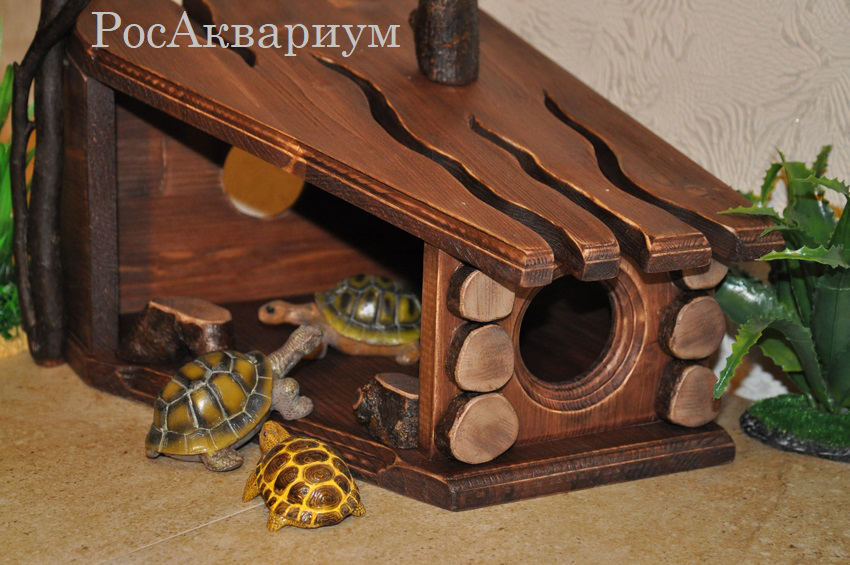 Домик для черепахи (39 фото) » НА ДАЧЕ ФОТО