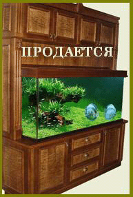 Мебельная витрина со встроенным аквариумом